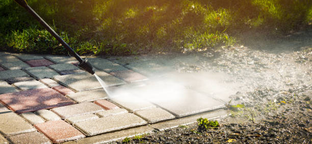 Best Gutter Cleaning  in Clark, SD